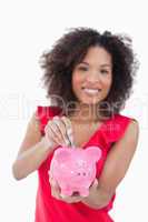Piggy bank receiving dollar notes