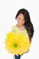 Close-up of a Gerbera holding by a young woman