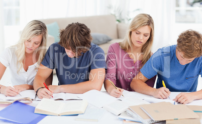 Four students studying hard