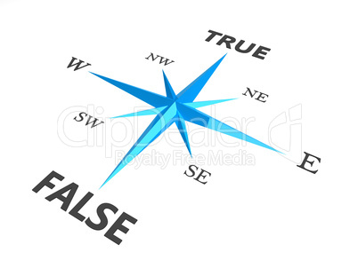 true versus false dilemma concept compass  isolated on white bac