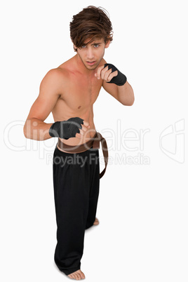 Martial arts fighter in fighting stance