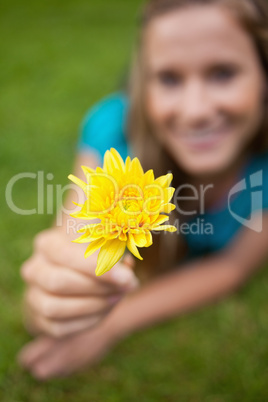 Yellow flower held by a young girl lying on the grass