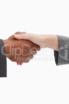 firm handshake