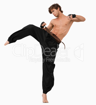 Side view of kicking martial arts fighter