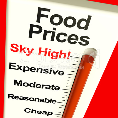Food Prices High Monitor Showing Expensive Grocery Costs
