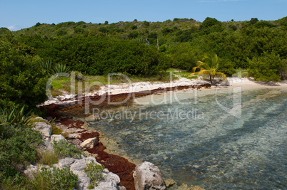 Deserted beach