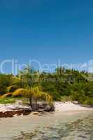 Deserted beach