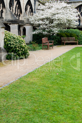 Garden in Gloucester Cathedral