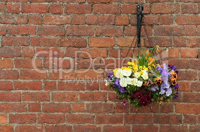 Hanging flowers pot