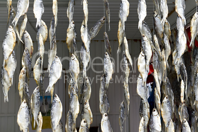 Background of the bundles of dried fish