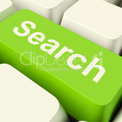 Search Computer Key In Green Showing Internet Access And Online