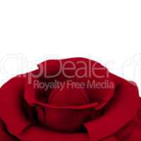 Rose With White Copyspace Background Showing Love Valentines And
