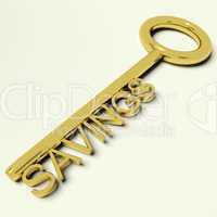 Savings Key Representing Money And Investment
