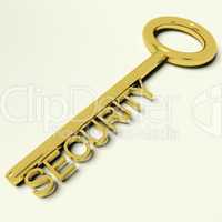 Security Key Representing Safety And Encryption