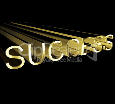 Success Text In Gold And 3d
