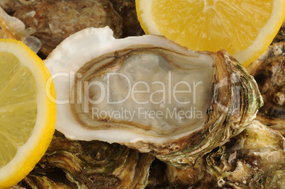 close up of a oysters and lemon