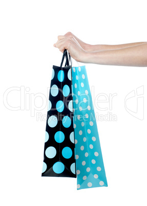 Female hand holding shopping bags