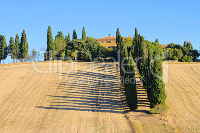 Podere im Herbst - Podere in fall 26