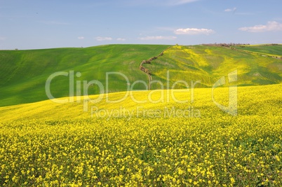 Val d'Orcia (Tuscany)