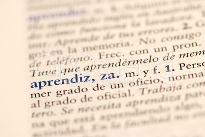 Spanish word for Apprentice