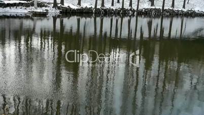 Forest reflection in water,ripple,snow.