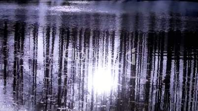 Forest reflection in water,ripple,snow,sunshine.
