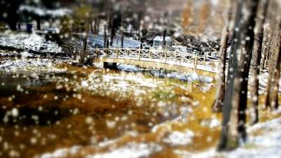 Forest and bridge reflection in water,metasequoia leave floating on lake,ripple,snow.