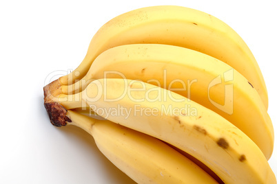 Bunch of Bananas