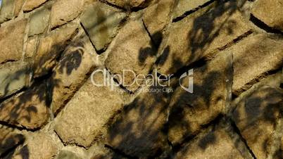 swing leaves silhouette shadow on stone wall.