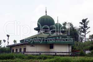 Green mosque