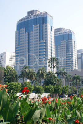 Flowers and buildings