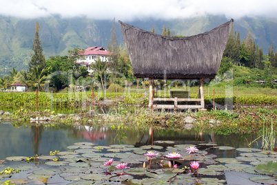 Traditional house