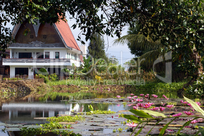 House and lotuses