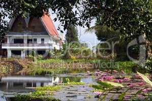 House and lotuses
