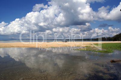 Beach and sea