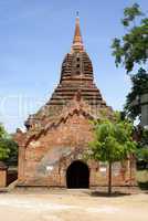 Brick pagoda and tree in Old Bagan