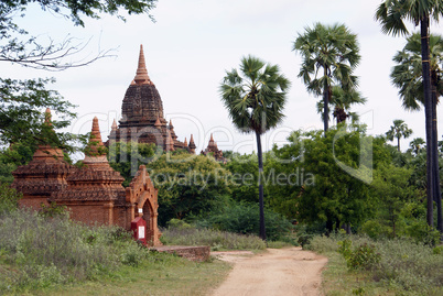 Road, palm trees and brick temple in Bagan