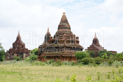 Green field and stupas