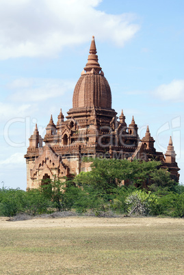 Pagoda on the field