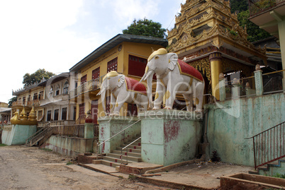 Elephants