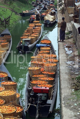 Boats with tomato