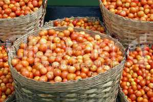Baskets with tomato