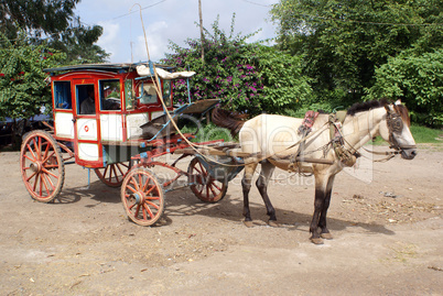 Horse cart