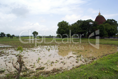 Field and stupa