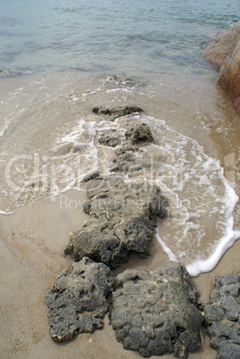 Coral on the beach