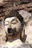 Buddha's head and wall