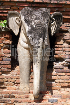 Elephant and wall