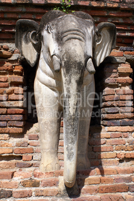 Elephant and wall