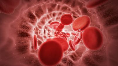 Red blood cells in artery