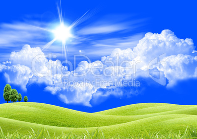 Green wheat field, white clouds, blue sky